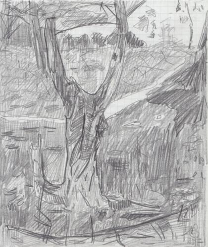 Jarek Piotrowski - Natural Stranger - Pencil on paper - 17.5cm × 14.8cm