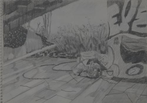 Jarek Piotrowski - Wick Woods - Pencil on paper - 14.8cm × 21cm